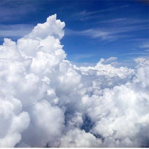 Meet your Posher, Rosanne